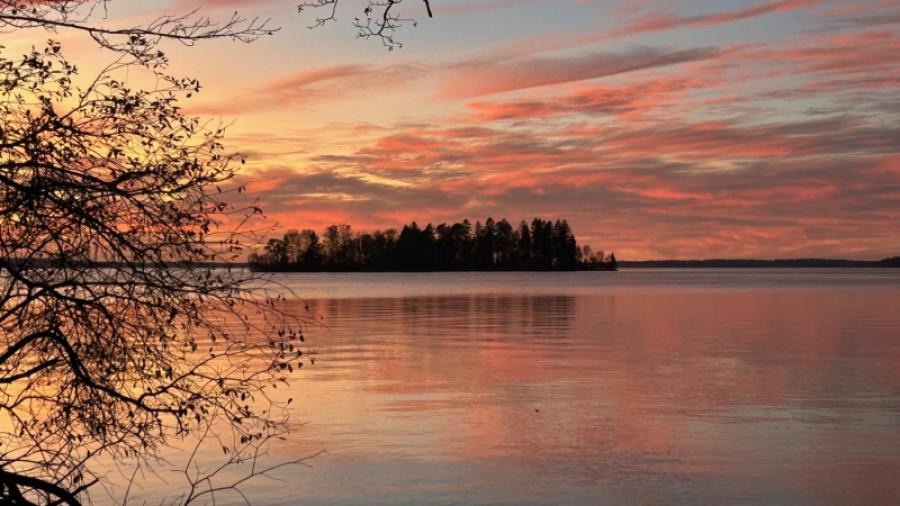 Solnedgång utmed skogsstigen