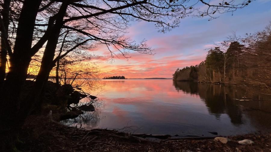 Solnedgång utmed skogsstigen